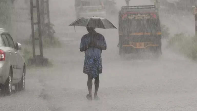 Tamil Nadu Rains: Chennai on orange alert, 4 districts on red; trees  uprooted, schools closed, 10 key updates | Chennai News - The Times of India