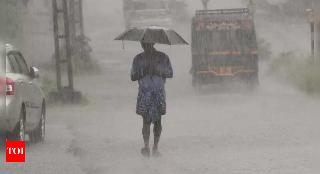 Tamil Nadu rain fury: Chennai on orange alert, 4 districts on red; trees uprooted, schools closed, 10 key updates