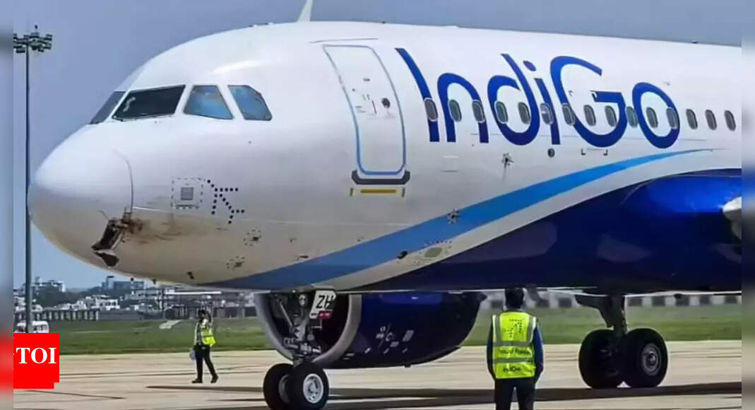 IndiGo to resume operations from Delhi IGI Airport Terminal 2 from Oct 26; passengers advised to check flight details