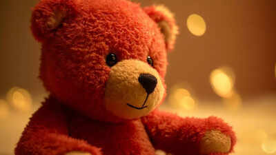 How dirty is your child’s stuffed animal? Understanding the hidden health risks