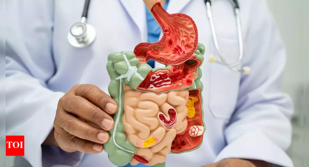 Gastroenterologist reveals 9 everyday foods that could boost digestion, immunity, and mood