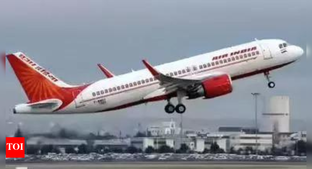 AI Mumbai-Newark flight returns safely after glitch in aircraft AI Mumbai-Newark flight returns safely after glitch in aircraft