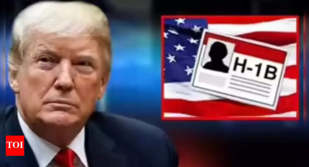 US Congress members urge Trump to withdraw the $ 100,000 entry fee for new H-1B visas