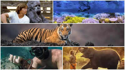 Top 5 wildlife documentaries for kids that make learning fun
