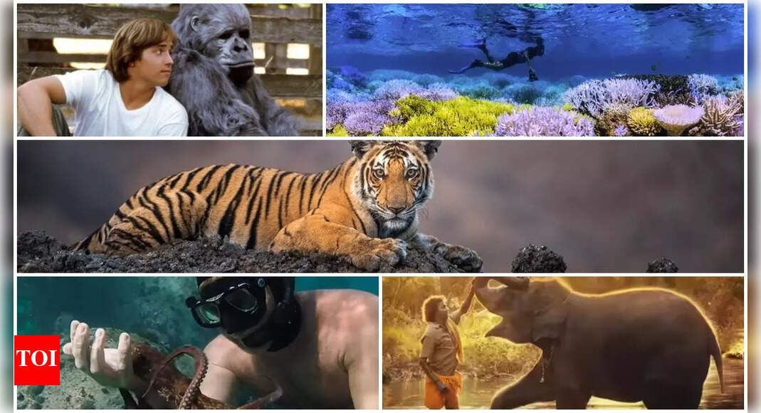 Top 5 wildlife documentaries for kids that make learning fun
