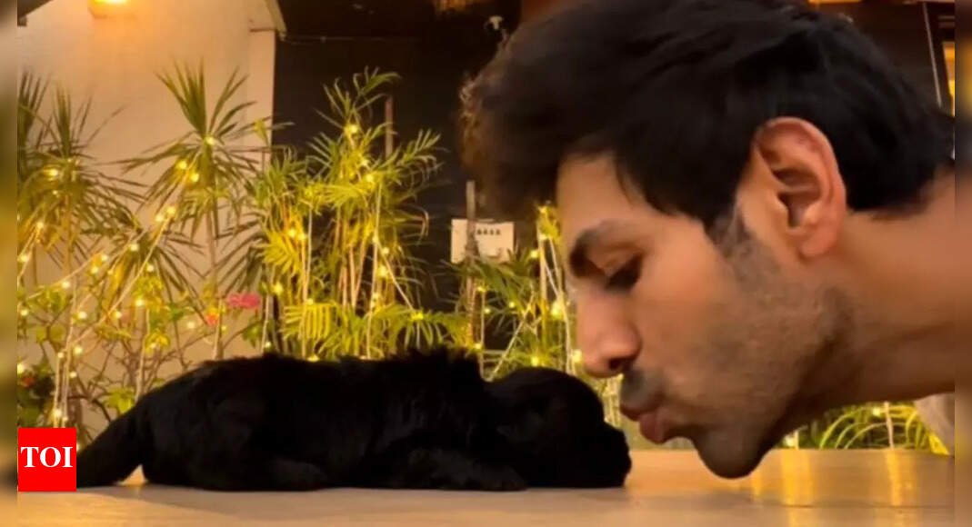 <div>Kartik Aaryan introduces new family member, 'Chatori'</div>