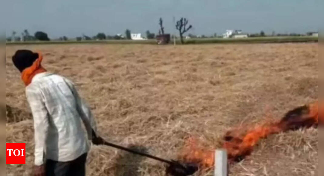 Punjab saw 415 farm fires from September 15-October 21, down from 1,510 during same period last year: Data