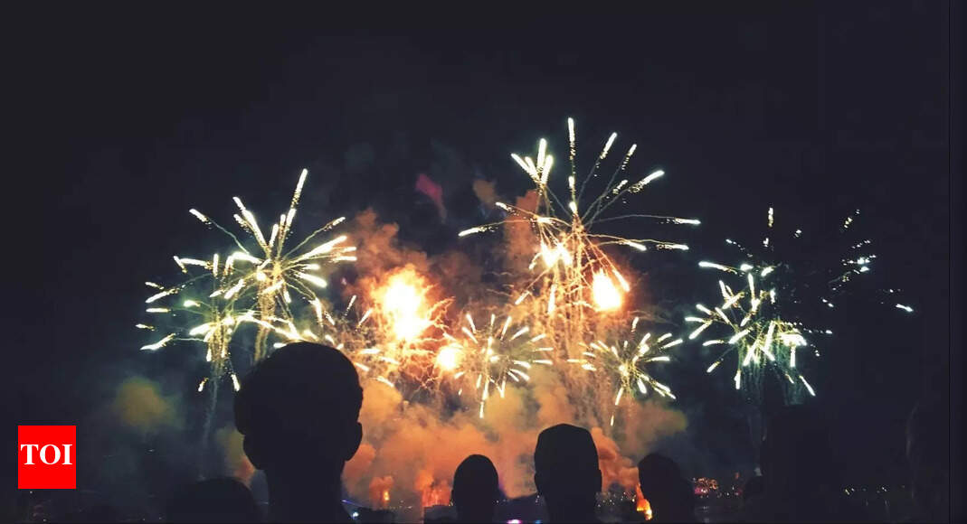 Supreme Court ordered 2-hour window, NCR set own rules on Diwali night