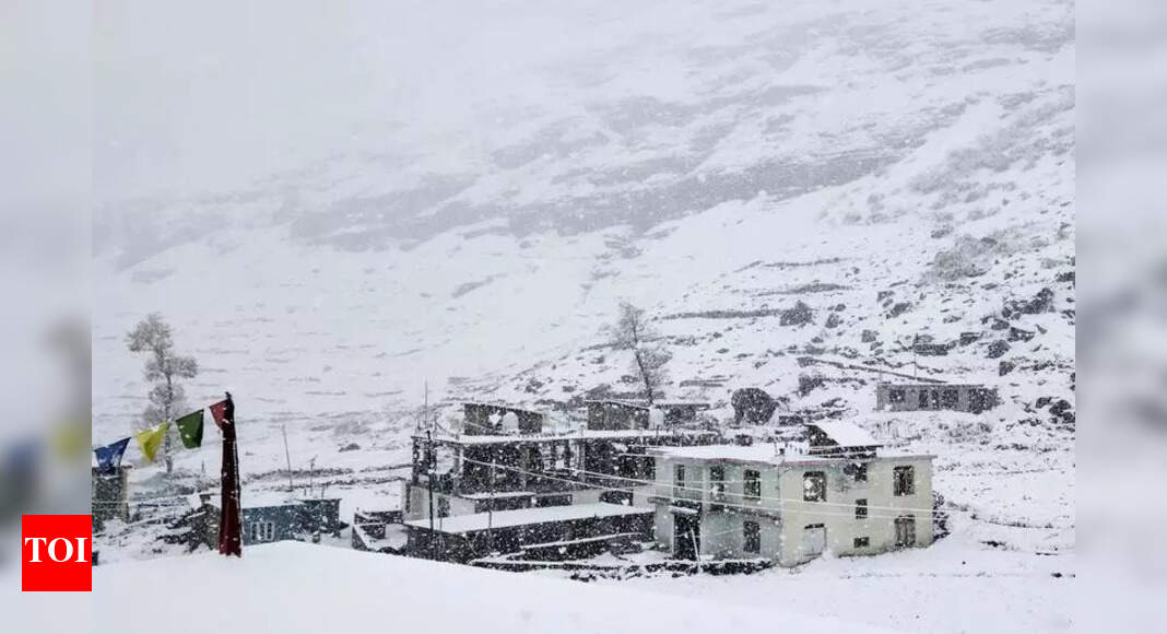 The Times of India - Business - News Image