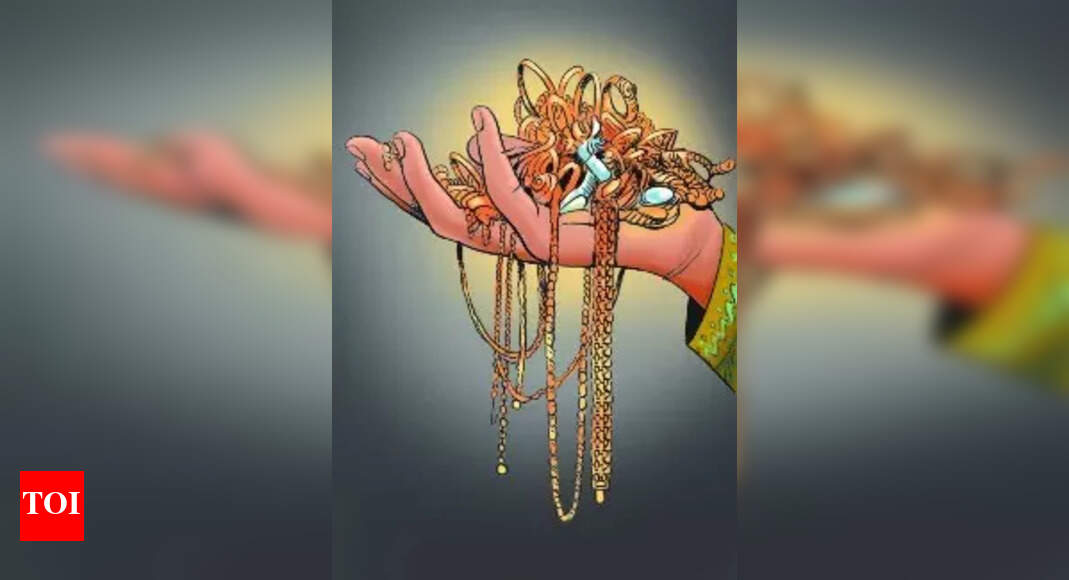 Woman robbed of ₹20L gold, cash on train near Kulem