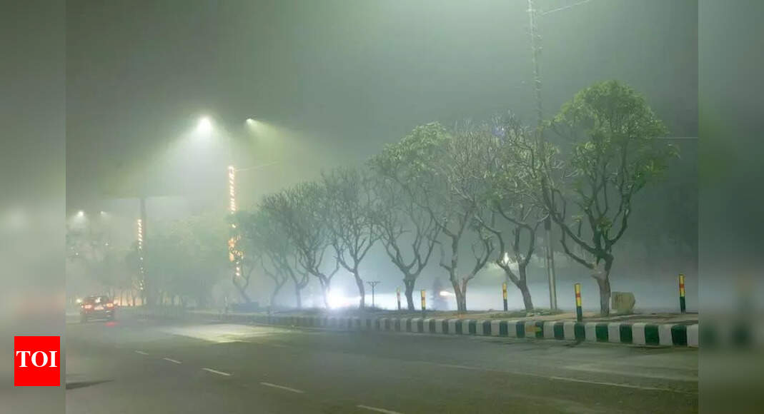 The Times of India - Environment - News Image