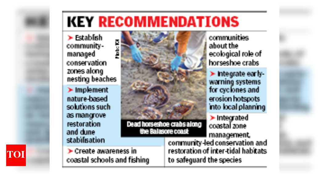 Decline of horseshoe crab populations in Odisha: A study on coastal erosion and human impact