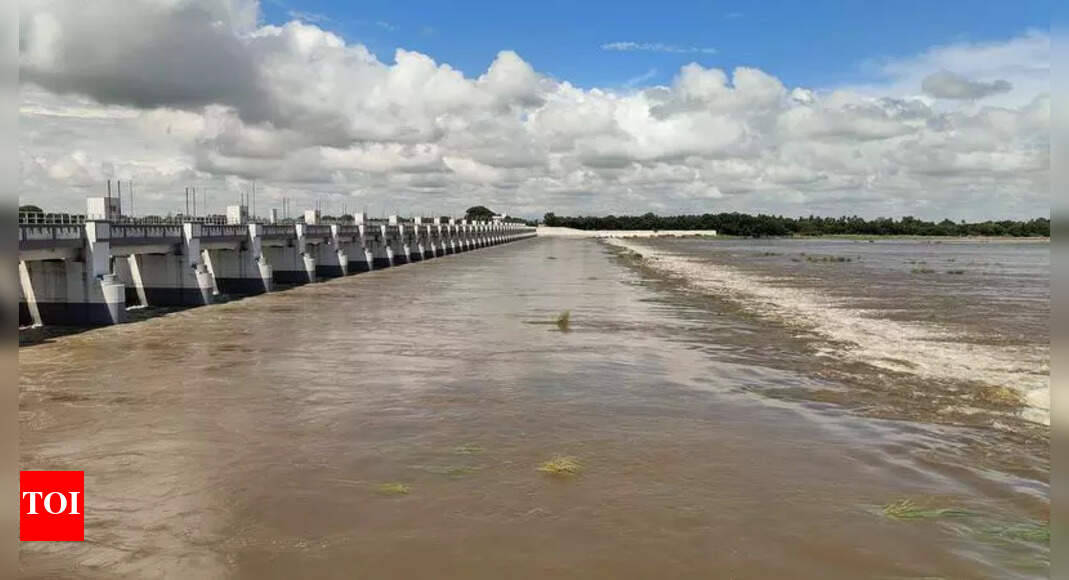 The Times of India - Politics - News Image