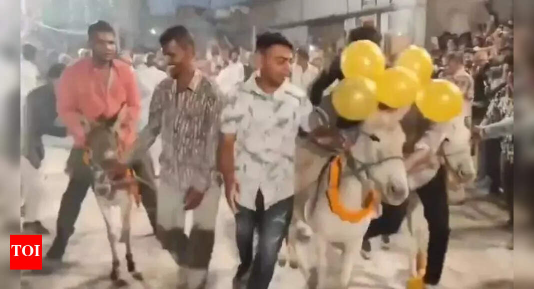 The Times of India - Entertainment - News Image