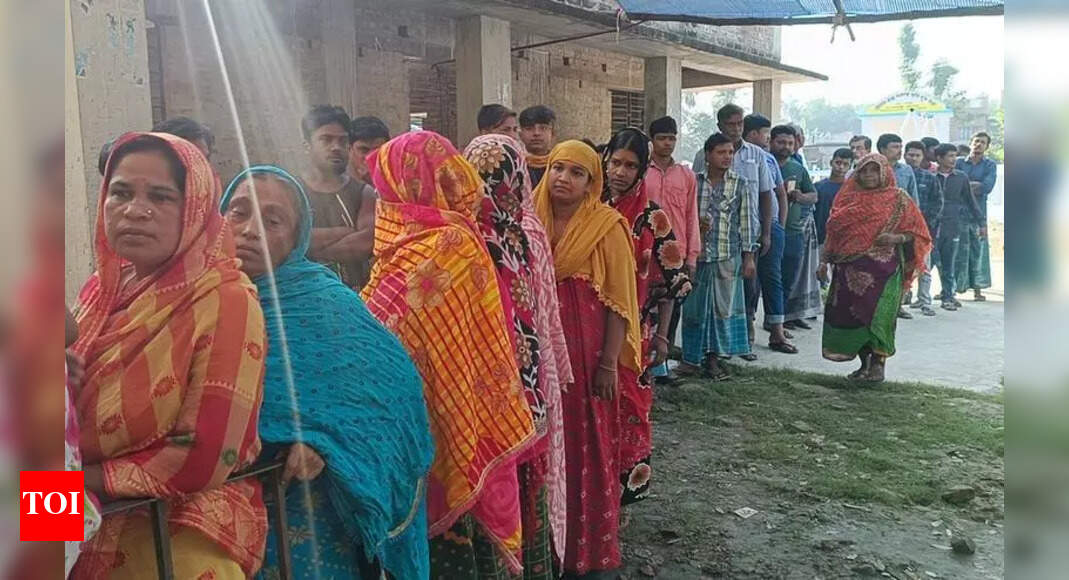 The Times of India - Politics - News Image