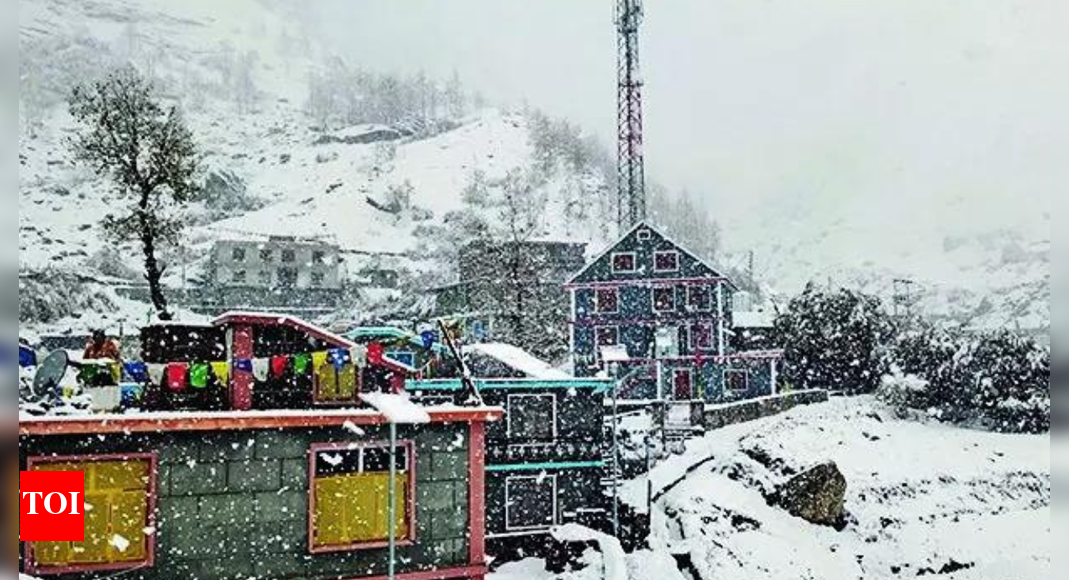 Himachal shivers: Mercury drops after fresh snow, rain; Tabo below 0° Himachal shivers: Mercury drops after fresh snow, rain; Tabo below 0°