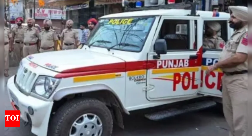 'Too poor to buy crackers': Punjab family makes bomb at home; explosion kills 1, injures 6