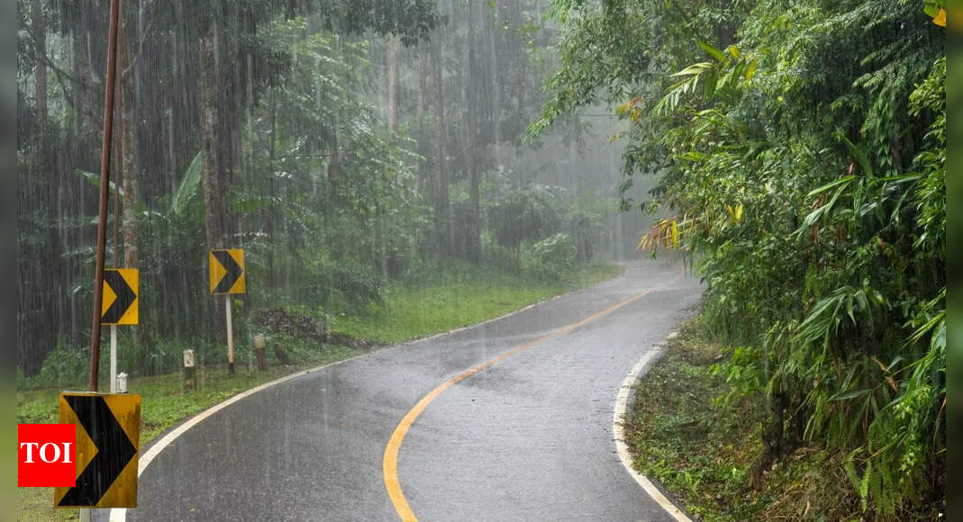 IMD warns of intense rainfall across south India; flash flood risk in these South Indian states