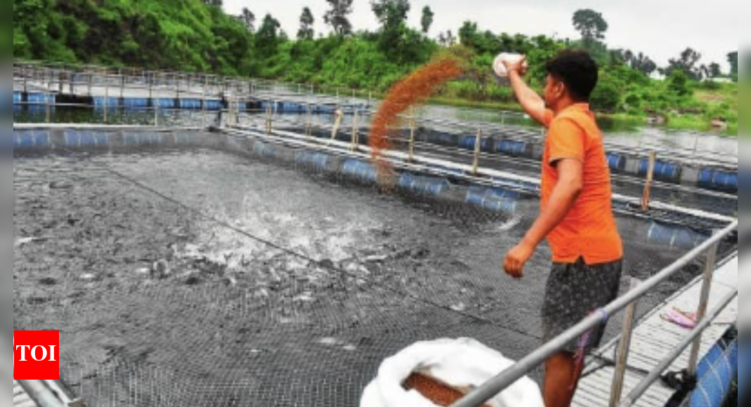 Water ATMs and fishing for profit