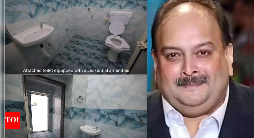TV, fully-equipped toilet, more of a boutique hotel than jail: Photos show swish cell awaiting Mehul Choksi at Mumbai's Arthur Road