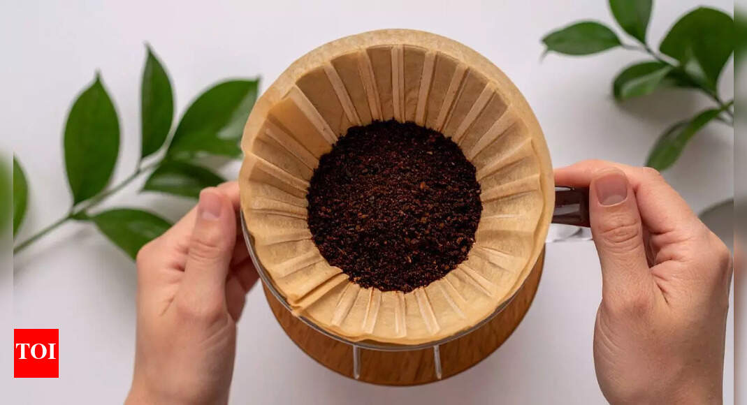 Using coffee grounds in your garden: 8 ways to boost soil fertility and deter pests naturally