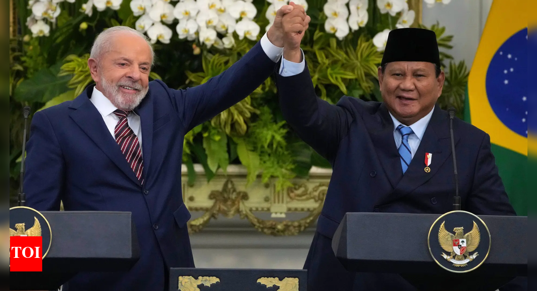 Indonesia, Brazil strike cooperation deals as leaders meet