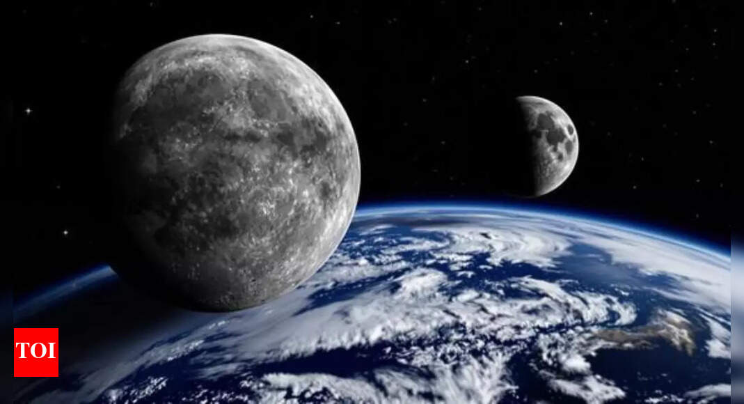 SpaceX 'Employee No. 1' wants to take his company not to the planet Elon Musk wants to take 'everyone', but ...
