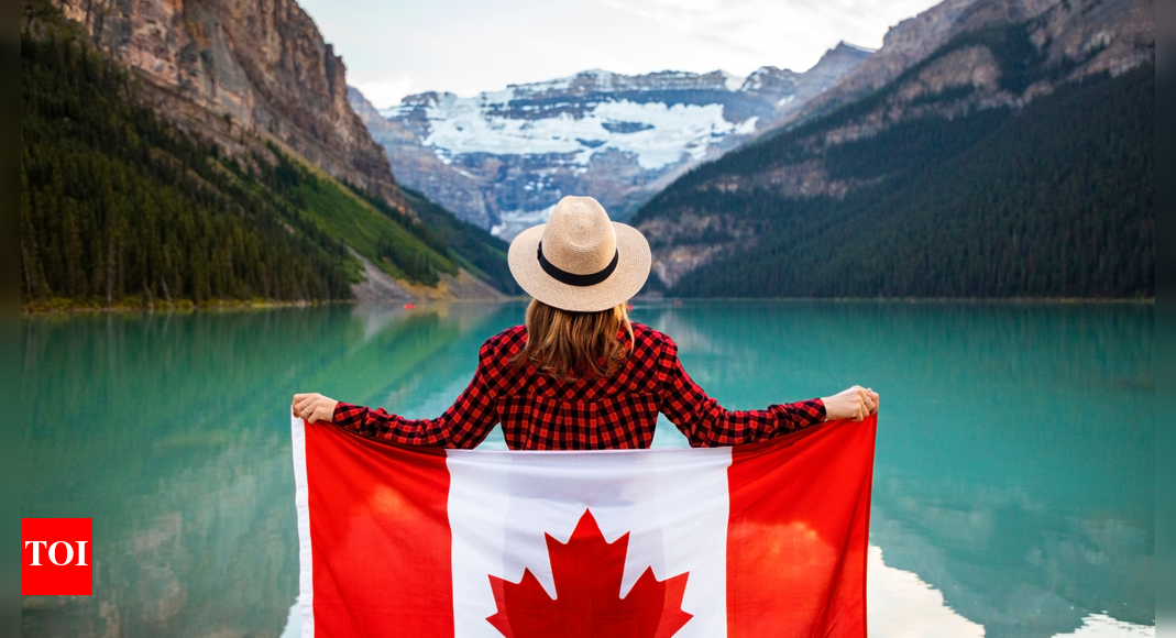 Canada’s ‘Maple Dream’ loses shine: Student arrivals down by 60%; India feels the squeeze