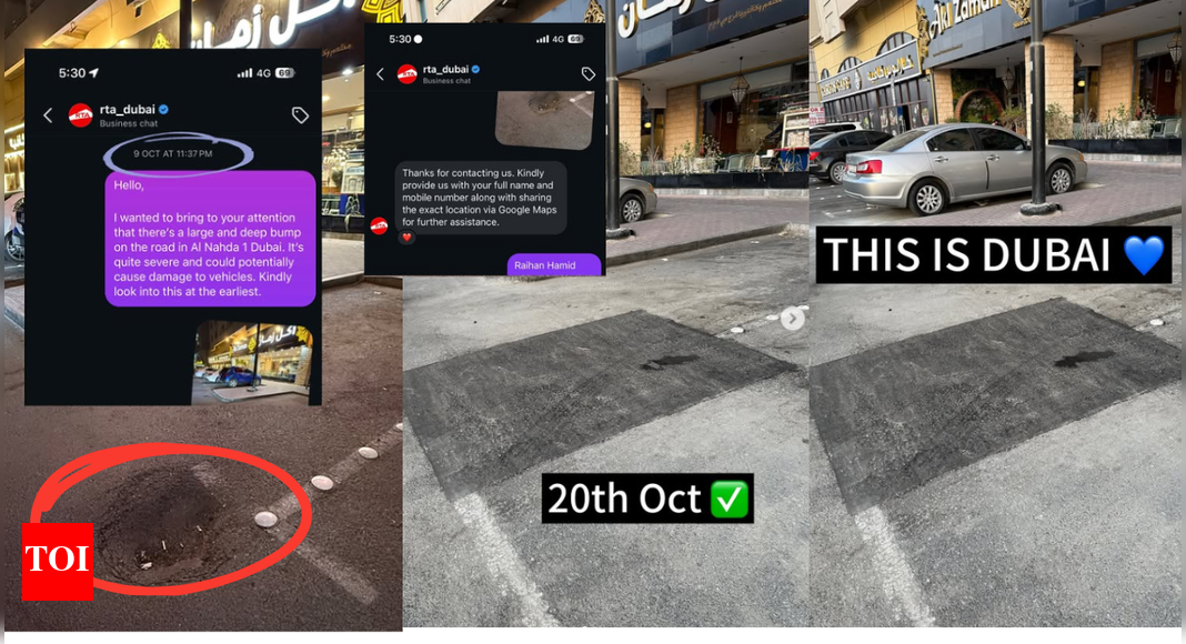 <div>'This is Dubai': Resident cheers road authority for swift pothole fix reported on Instagram</div>