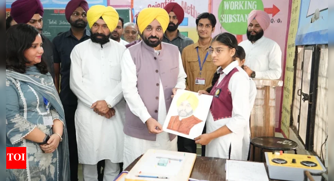 Govt making concerted efforts to transform destiny of youth: Punjab CM