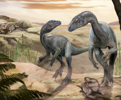  230-million-year-old rare headless dinosaur fossil found, dating back to the Triassic period
