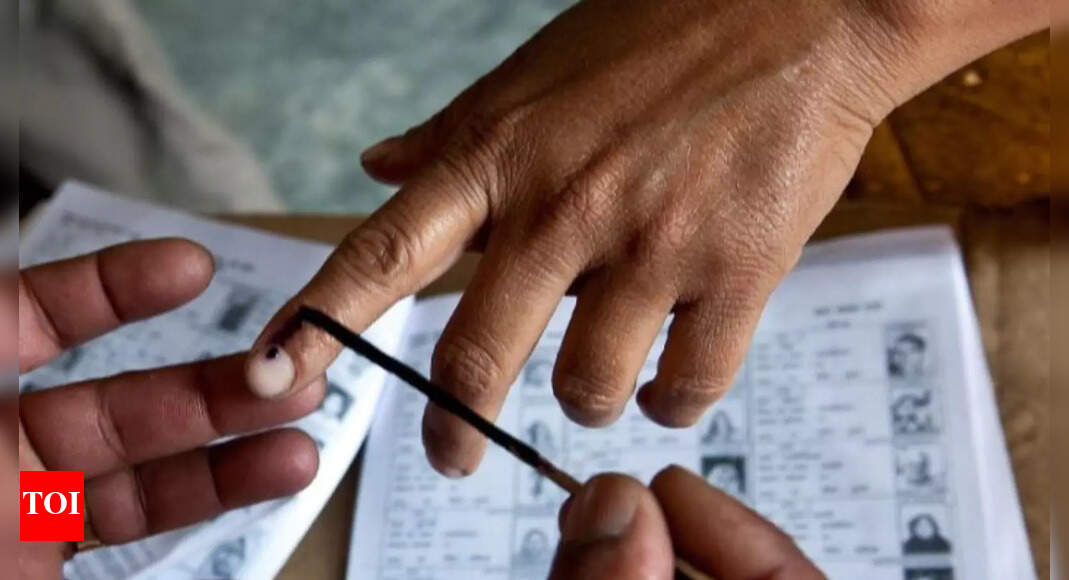 Women to lock horns in three Magadh constituencies