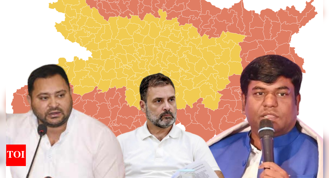 Bihar: Mukesh Sahani emerges as MGB's wildcard; is Congress the weakest link?