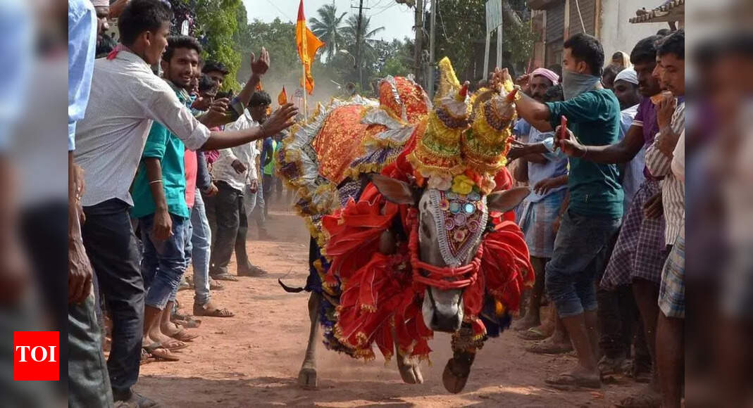 The Times of India - Other - News Image