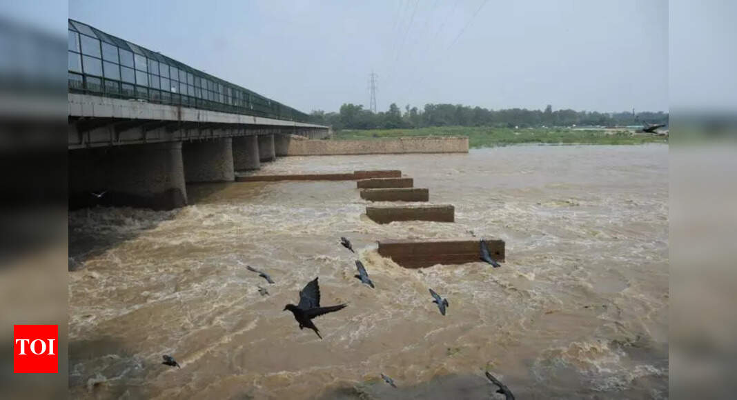 The Times of India - Environment - News Image