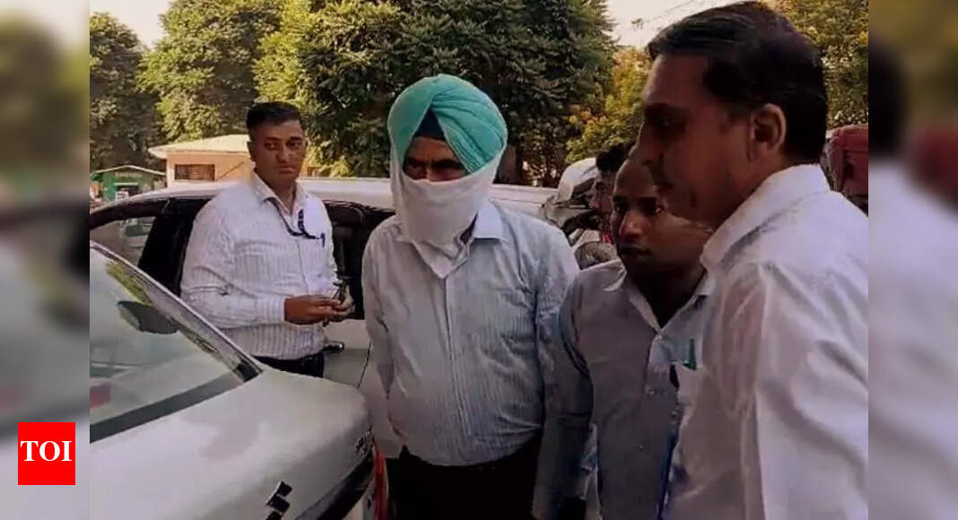 The Times of India - Business - News Image