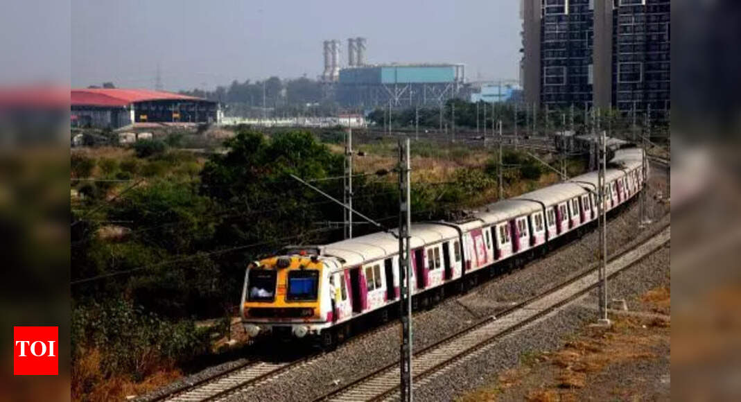 The Times of India - Other - News Image