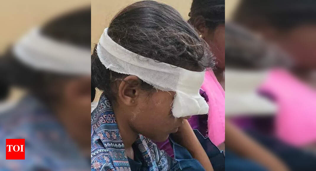 The Times of India - Health - News Image