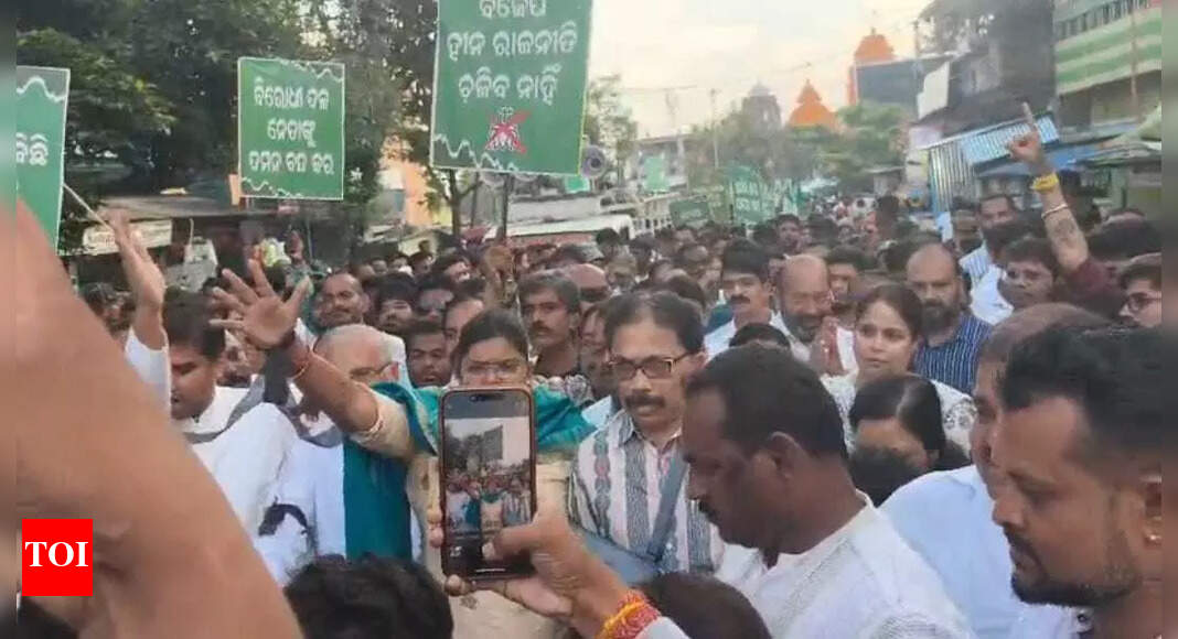 The Times of India - Politics - News Image