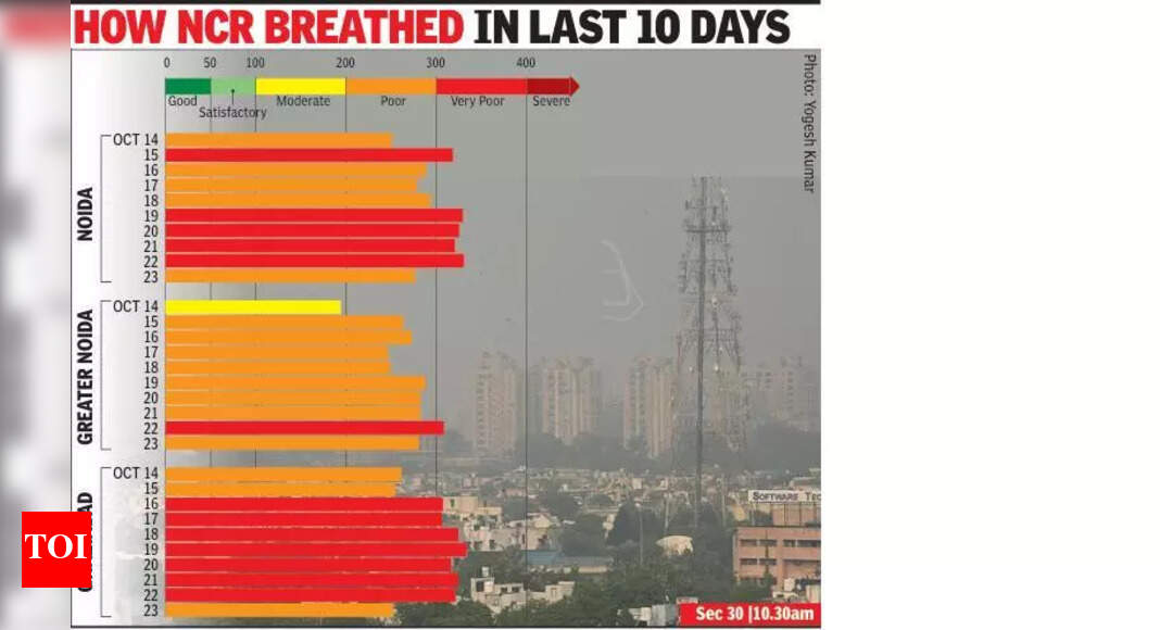 The Times of India - Environment - News Image