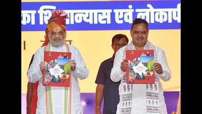 Raj govt outlines roadmap for development by 2047