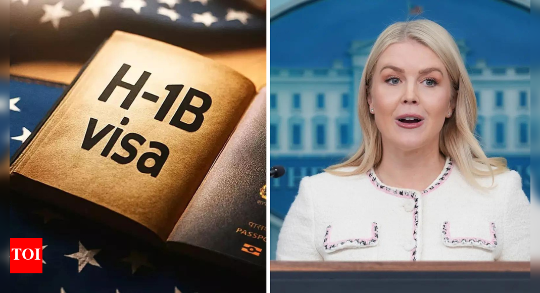 ‘System spammed with fraud’: White House’ latest justification on H-1B visa fee hike; calls move ‘lawful’ – The Times of India