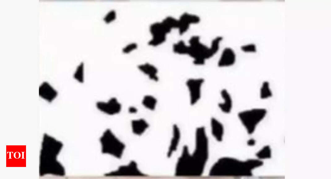 Optical illusion personality test: Dancing couple or ink spots? What you notice first reveals this about your stress levels