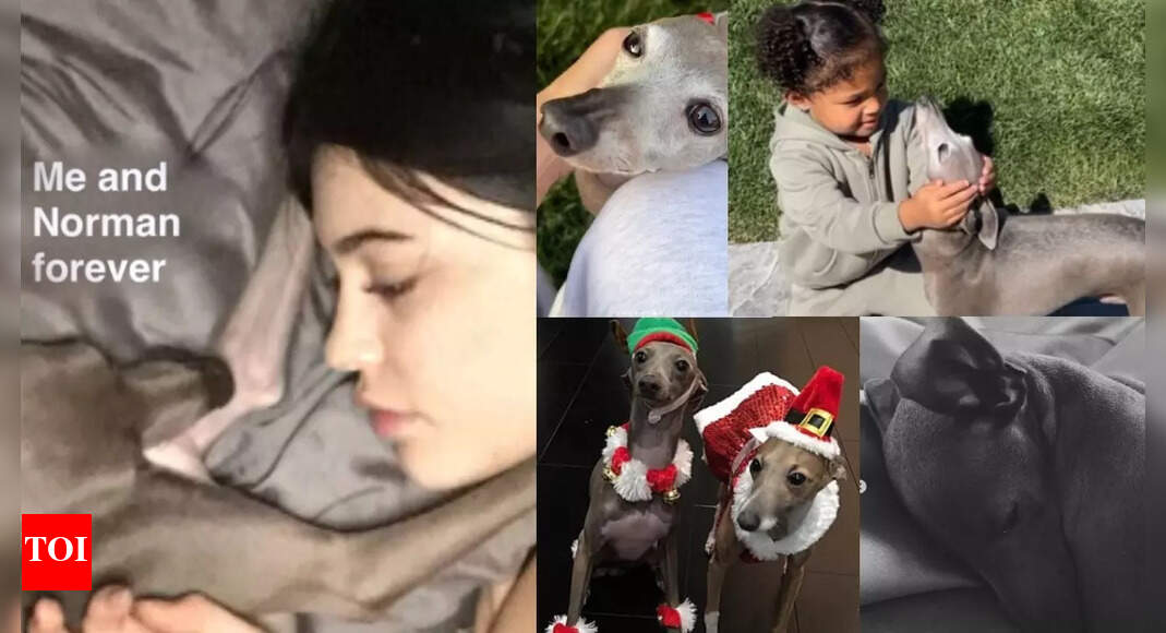 Kylie mourns her dog, ‘I had never loved anything so much’ Kylie mourns her dog, ‘I had never loved anything so much’
