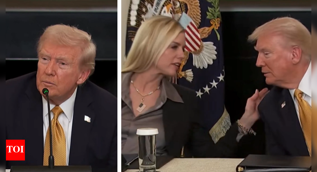 Donald Trump roasted for not understanding French journalist’s accent: ‘How does he talk to Melania?’ Donald Trump roasted for not understanding French journalist’s accent: ‘How does he talk to Melania?’