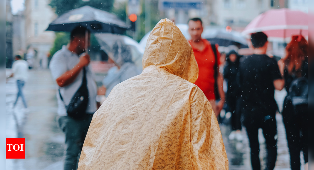 October 25 weather update: IMD predicts rain, winds, and cyclone watch in these areas