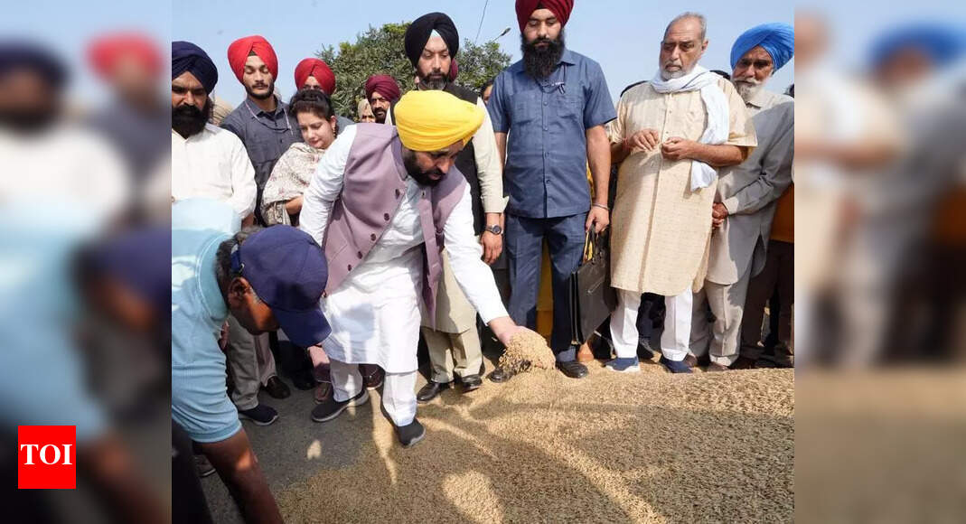 The Times of India - Business - News Image