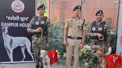 Border Security Force's nearly 40 India-bred dogs- Rampur Hounds and Mudhol Hounds- will participate in the National Unity Day Parade on October 31 PM Modi to witness ‘desi’ dog squads march on Rashtriya Ekta Diwas