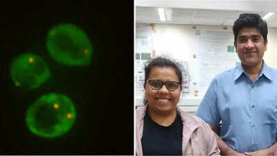 Riya Dhage (first author) and Purusharth I Rajyaguru (corresponding author) (Photo: IISc) Can yeast survive on Mars? IISc, Isro scientists find promising clues