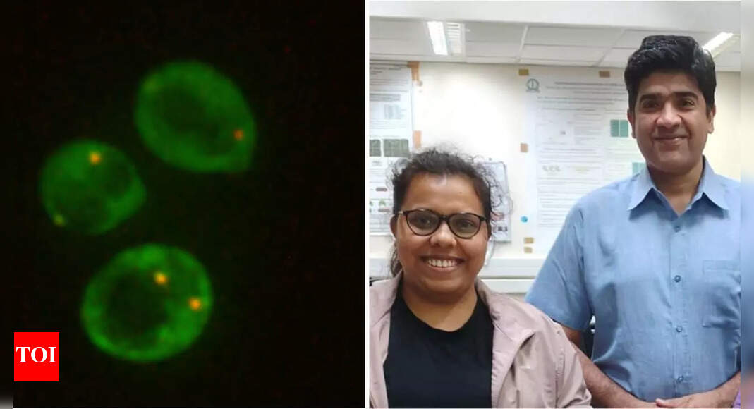 Can yeast survive on Mars? IISc, Isro scientists find promising clues – The Times of India